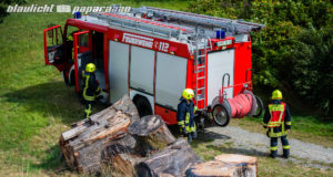 Alter Baumstamm muss von Feuerwehr gelöscht werden