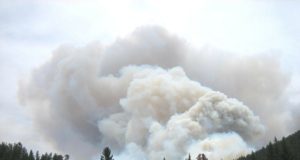 Deutsche Feuerwehrleute auf dem Weg nach Schweden