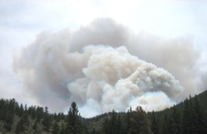 Deutsche Feuerwehrleute auf dem Weg nach Schweden