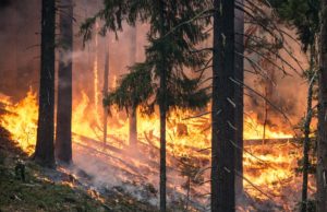 Während Waldbrand: Elektronik von TLF fällt komplett aus!