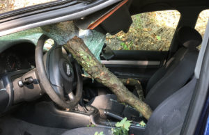 Ast bricht ab und durchbohrt fahrenden PKW