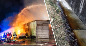 Fischsterben nach Brand in Olbersdorf