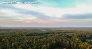 Einsatz in der Königsbrücker Heide geht weiter