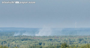 Waldbrand in Schwepnitz: so geht es weiter