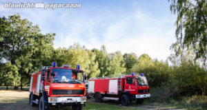 Neue Glutnester in der Königsbrücker Heide