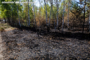 20180912_Waldbrand_Schwepnitz_1-12