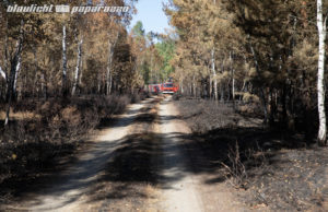 Endlich! Lage in Schwepnitz mehr als 24 Stunden ruhig
