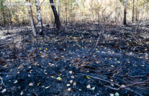 Brandserie in Lauta: Polizei sucht Zeugen