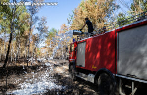 Massiver Wasser-Einsatz soll Waldbrandsituation entspannen