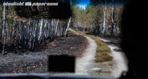 Wald in der Königsbrücker Heide brennt wieder