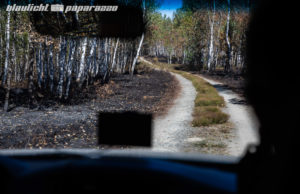 Wald in der Königsbrücker Heide brennt wieder