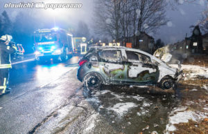 Auto kracht gegen Baum und geht in Flammen auf