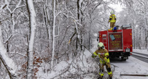 Ast droht auf Straße zu fallen – Feuerwehr greift ein