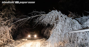 Lebensgefahr! Extreme Schneelast lässt reihenweise Bäume umkippen