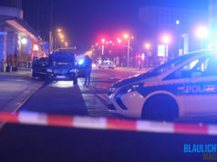 17 Handgranaten nach Routine-Kontrolle gefunden