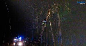 Feuerwehren rücken zu Sturmschäden aus