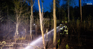 Schon wieder brennt es im Kamenzer Forst!