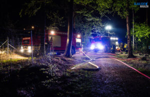 Schon wieder brennt es im Kamenzer Stadtwald!