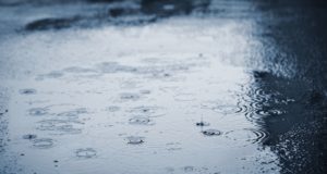 Regen in Sicht! Waldbrandgefahr geht in den nächsten Tagen zurück