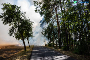 20190630_Feldbrand_Schwepnitz-16