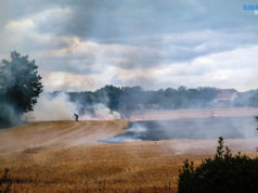 Feldbrand in Zittau kurz vor Ortsgrenze gelöscht