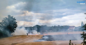 Feldbrand in Zittau kurz vor Ortsgrenze gelöscht