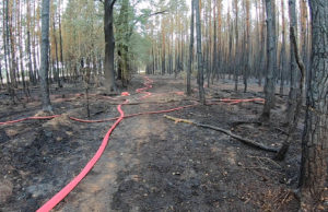 Video zum Wald- und Feldbrand in Bulleritz