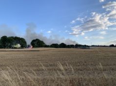 Getreidefeld gerät bei Dresden in Brand
