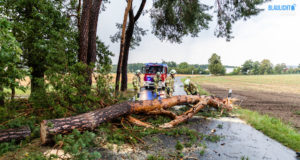 Feuerwehren rücken nach Gewitter zu Sturmschäden aus