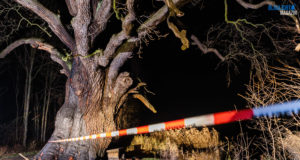Brandanschlag auf 800 Jahre alte Rieseneiche in Niedergurig