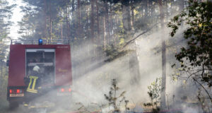 Brand in Waldstück bei Lauta ausgebrochen