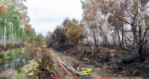 Waldbrand bei Hohenleipisch: 900 Schläuche müssen gereinigt werden