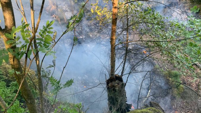 Foto: Feuerwehr Oybin
