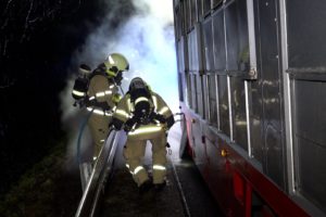 Schweinetransport fängt auf der Autobahn Feuer – Feuerwehr rückt an und rettet den Tieren das Leben