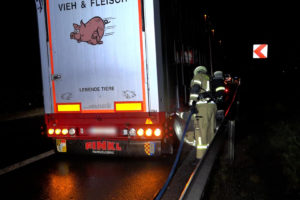 Schweinetransport f‰ngt auf der Autobahn Feuer – Feuerwehr r¸ckt an und rettet den Tieren das Leben