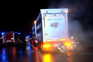Schweinetransport f‰ngt auf der Autobahn Feuer – Feuerwehr r¸ckt an und rettet den Tieren das Leben