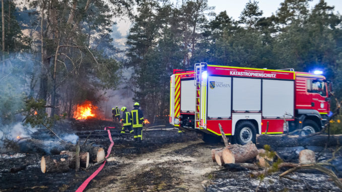 20220312_Waldbrand_Neubuchwalde-5