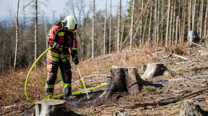 20220328_Waldbrand_Oberlichtenau-18