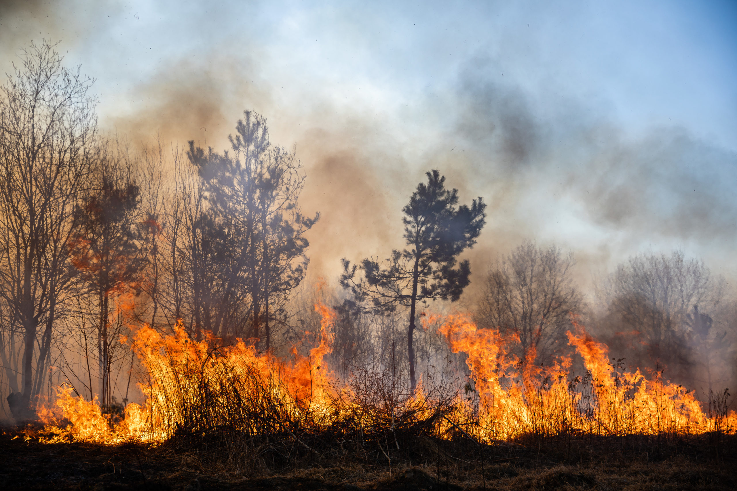 So-bereitet-sich-Griechenland-auf-die-Waldbrandsaison-vor