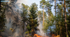 Waldbrandsituation bleibt bis kommende Woche angespannt