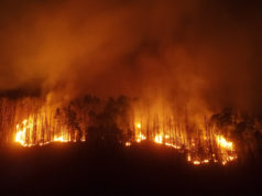 Löscharbeiten bei Waldbrand in der Böhmischen Schweiz gehen weiter