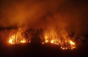 Löscharbeiten bei Waldbrand in der Böhmischen Schweiz gehen weiter