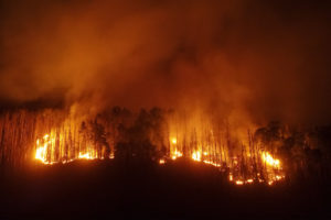 Waldbrand_Hrensko_vom_Berg_aus Kopie