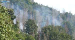 Waldbrände in Sachsen und Tschechien unter Kontrolle
