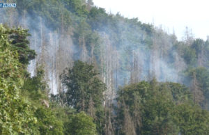 Waldbrände in Sachsen und Tschechien unter Kontrolle