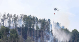 Waldbrand: Katastrophenalarm auch in Sebnitz ausgelöst