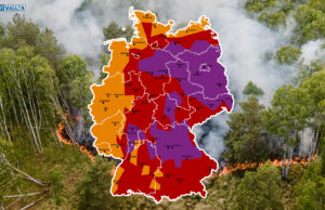 Extreme Waldbrandgefahr! Was kommt da auf uns zu?