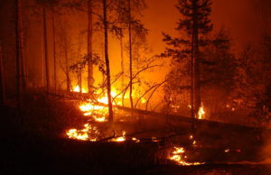 Aktuell: Heftige Waldbrände in ganz Europa