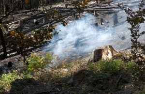 Neue Infos zum Waldbrand in der Böhmischen Schweiz