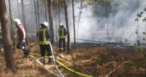 EILMELDUNG: Wieder Waldbrand in der Böhmischen Schweiz direkt an der Grenze